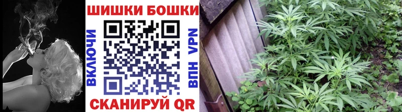 Купить  Кинешма  Каннабис план 